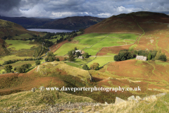 View over the Martindale Common valley