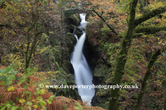 Autumn colours at Aira Force waterfall