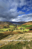 View over the Martindale Common valley