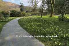 The Wordsworth Daffodil Garden, Grasmere village