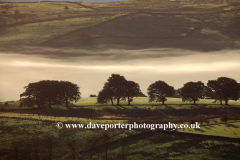 Misty Dawn, Dale Bottom valley near Keswick