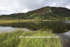 Reflections in Rydal Water