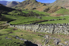Spring, Martindale Common valley