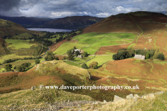 View over the Martindale Common valley