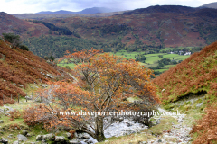Autumn colours in the Newlands valley