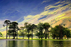 Trees reflected in Buttermere