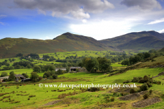 Spring, Cat Bells Fell, Newlands Valley