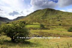 View to Hartsop Dodd Fell