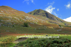 View over Grasmoor fell