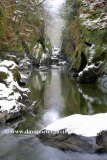 Winter, Fairy Glen, River Conwy near Betws-y-Coed