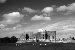 Carew Castle, Carew Village, Pembrokeshire