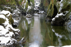 Winter, Fairy Glen, River Conwy near Betws-y-Coed