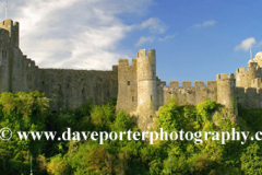 Pembrokeshire Castle, Pembrokeshire