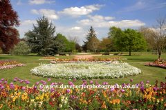 Spring flowers in St Nicholas Park, Warwick town