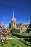 Cherry Blossom St John’s Church Lower Shuckburgh