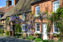 Cottages in Warwick town
