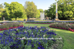 Flower in Jephson Gardens, Leamington Spa town