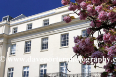 Spring blossom and architecture, Leamington Spa