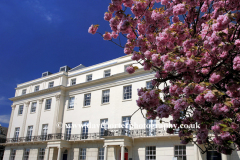 Spring blossom and architecture, Leamington Spa