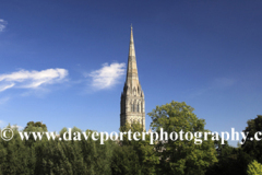 The 13th Century Salisbury Cathedral