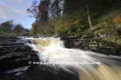 Autumn, Stainforth Force waterfalls, River Ribble