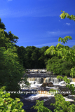 Summer, River Ure; Aysgarth Falls; Wensleydale