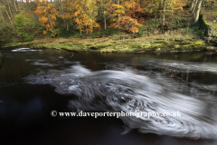 Autumn, River Ribble, Yorkshire Dales