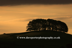Dawn, Askrigg pastures; Askrigg village, Wensleydale