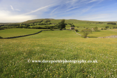 View over flower meadow, Raydale, Yorkshire Dales