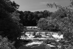 Upper falls of the Aysgarth Falls, Wensleydale