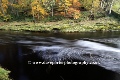 Autumn, River Ribble, Yorkshire Dales