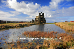 Autumn view of Whitby Abbey