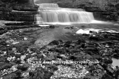 The Lower falls of Aysgarth Falls, Wensleydale