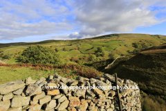 Autumn colours, Abbottside Common, Wensleydale