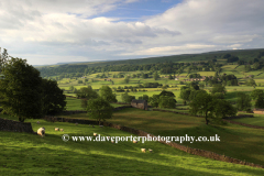 Bainbridge pastures; Bainbridge village, Wensleydale