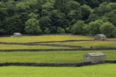 Stone barns at Feetham village, Swaledale