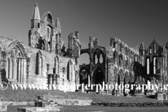 The ruins of Whitby Abbey