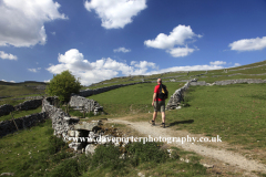 Walker on footpath in Malhamdale