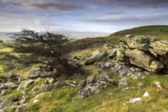 Crummack Dale near the village of Wharfe