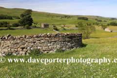 View over flower meadow, Raydale, Yorkshire Dales