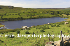 View over Semer water, Raydale, Yorkshire Dales