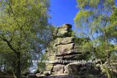 Summer view of Brimham Rocks, Nidderdale