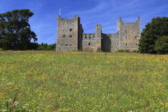 Flower meadow and Castle Bolton Castle; Wensleydale