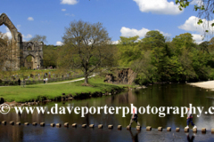 The ruins of Bolton Abbey Priory, near Skipton