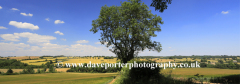 Summer landscape fields near Northleach town