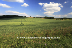 Summer landscape fields near Winchcombe town