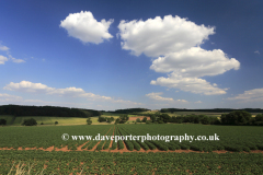Summer landscape fields near Winchcombe