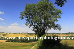 Summer landscape fields near Northleach town