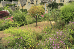 Cottage gardens, Bibury village