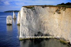 The Pinnacles Seastacks, Swanage Bay, Jurassic coast